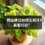 网站建设如何实现在线客服功能？（图2）