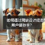 如何通过网站设计提高用户留存率?(图2) 如何通过网站设计提高用户留存率?(图2)