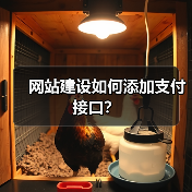 网站建设如何添加支付接口?(图2) 网站建设如何添加支付接口?(图2)