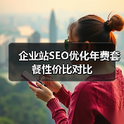 企业站SEO优化年费套餐性价比对比(图2) 企业站SEO优化年费套餐性价比对比(图2)