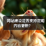 网站建设是否支持定期内容更新？（图4）