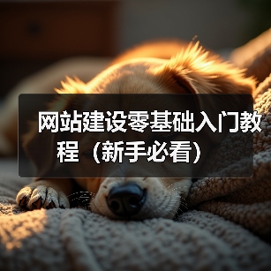 网站建设零基础入门教程(新手必看)(图3) 网站建设零基础入门教程(新手必看)(图3)