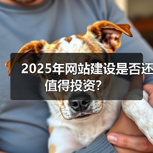 2025年网站建设是否还值得投资?(图1) 2025年网站建设是否还值得投资?(图1)