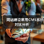 网站建设常用CMS系统对比分析(图4) 网站建设常用CMS系统对比分析(图4)