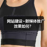 网站建设+新媒体推广效果如何?(图3) 网站建设+新媒体推广效果如何?(图3)