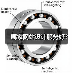 哪家网站设计服务好?(图2) 哪家网站设计服务好?(图2)
