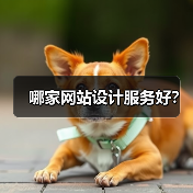 哪家网站设计服务好?(图3) 哪家网站设计服务好?(图3)