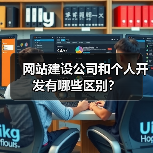 网站建设公司和个人开发有哪些区别?(图4) 网站建设公司和个人开发有哪些区别?(图4)