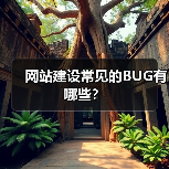 网站建设常见的BUG有哪些?(图3) 网站建设常见的BUG有哪些?(图3)