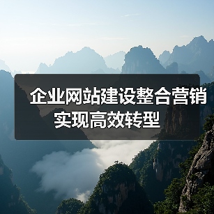 企业网站建设整合营销实现高效转型(图2) 企业网站建设整合营销实现高效转型(图2)