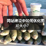 网站建设中如何优化图片大小?(图4) 网站建设中如何优化图片大小?(图4)