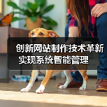 创新网站制作技术革新实现系统智能管理(图1) 创新网站制作技术革新实现系统智能管理(图1)