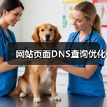 网站页面DNS查询优化(图2) 网站页面DNS查询优化(图2)