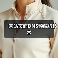 网站页面DNS预解析技术(图4) 网站页面DNS预解析技术(图4)