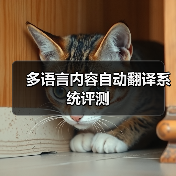多语言内容自动翻译系统评测（图4）