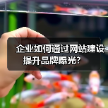 企业如何通过网站建设提升品牌曝光?(图2) 企业如何通过网站建设提升品牌曝光?(图2)