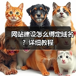 网站建设怎么绑定域名?详细教程(图2) 网站建设怎么绑定域名?详细教程(图2)