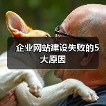企业网站建设失败的5大原因(图2) 企业网站建设失败的5大原因(图2)