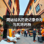 网站域名历史记录查询与风险判断（图1）