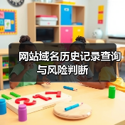 网站域名历史记录查询与风险判断（图4）