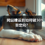 网站建设后如何做301重定向?(图2) 网站建设后如何做301重定向?(图2)