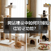 网站建设中如何对接短信验证功能?(图2) 网站建设中如何对接短信验证功能?(图2)