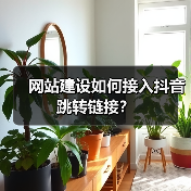 网站建设如何接入抖音跳转链接?(图1) 网站建设如何接入抖音跳转链接?(图1)