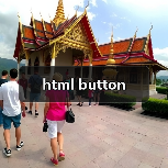 html button（图3）