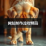 网站制作流程精简(图3) 网站制作流程精简(图3)