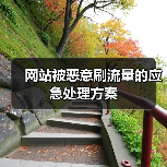 网站被恶意刷流量的应急处理方案(图2) 网站被恶意刷流量的应急处理方案(图2)