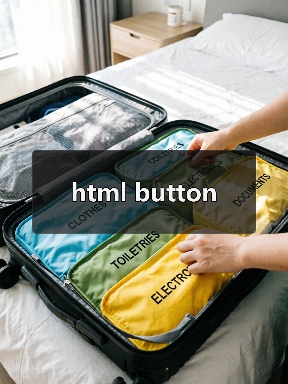 html button（图1）