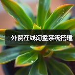 外贸在线询盘系统搭建(图3) 外贸在线询盘系统搭建(图3)
