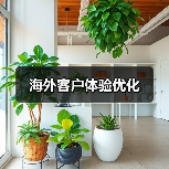 海外客户体验优化（图1）
