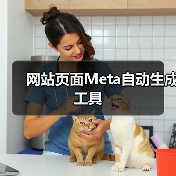 网站页面Meta自动生成工具(图2) 网站页面Meta自动生成工具(图2)