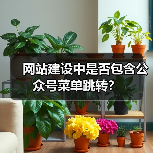 网站建设中是否包含公众号菜单跳转?(图3) 网站建设中是否包含公众号菜单跳转?(图3)