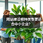 网站建设哪种类型更适合中小企业？（图4）