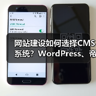 网站建设如何选择CMS系统？WordPress、帝国CMS对比（图4）