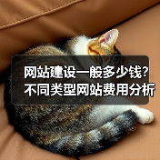 网站建设一般多少钱?不同类型网站费用分析(图4) 网站建设一般多少钱?不同类型网站费用分析(图4)
