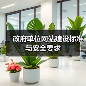 政府单位网站建设标准与安全要求（图4）