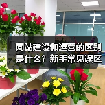 网站建设和运营的区别是什么？新手常见误区解析（图1）
