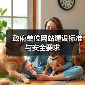 政府单位网站建设标准与安全要求（图1）