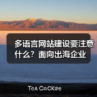 多语言网站建设要注意什么?面向出海企业(图2) 多语言网站建设要注意什么?面向出海企业(图2)