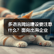 多语言网站建设要注意什么?面向出海企业(图4) 多语言网站建设要注意什么?面向出海企业(图4)