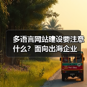 多语言网站建设要注意什么?面向出海企业(图3) 多语言网站建设要注意什么?面向出海企业(图3)
