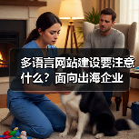 多语言网站建设要注意什么?面向出海企业(图1) 多语言网站建设要注意什么?面向出海企业(图1)