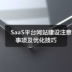 SaaS平台网站建设注意事项及优化技巧(图2) SaaS平台网站建设注意事项及优化技巧(图2)