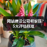 网站建设公司哪家强?5大评估标准(图2) 网站建设公司哪家强?5大评估标准(图2)