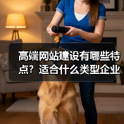 高端网站建设有哪些特点?适合什么类型企业?(图4) 高端网站建设有哪些特点?适合什么类型企业?(图4)