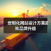 定制化网站设计方案助推品牌升级(图3) 定制化网站设计方案助推品牌升级(图3)