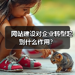 网站建设对企业转型起到什么作用?(图4) 网站建设对企业转型起到什么作用?(图4)